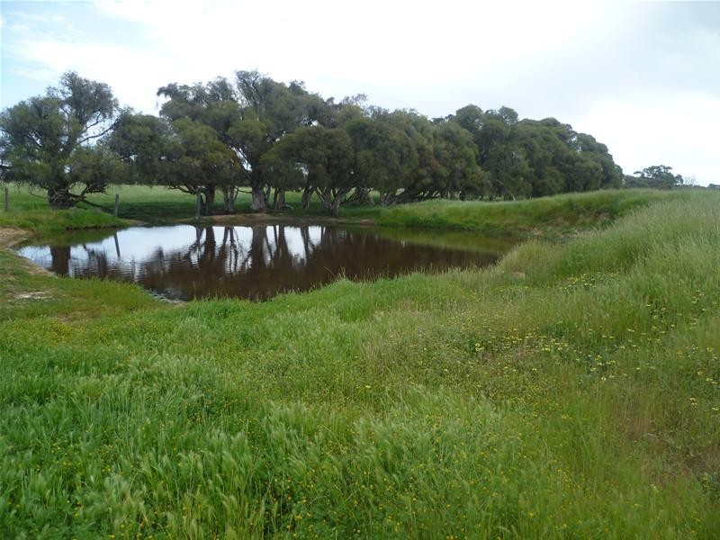 633 Utley Road, Hopeland WA 6125