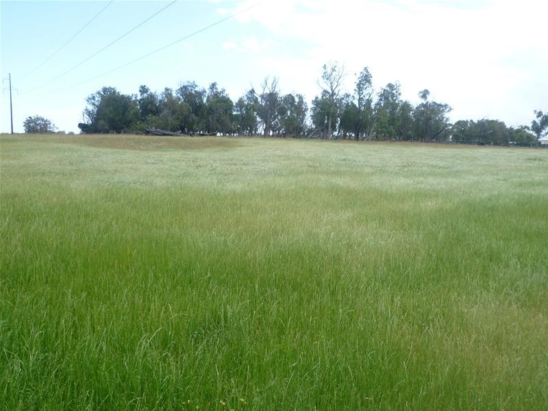 633 Utley Road, Hopeland WA 6125