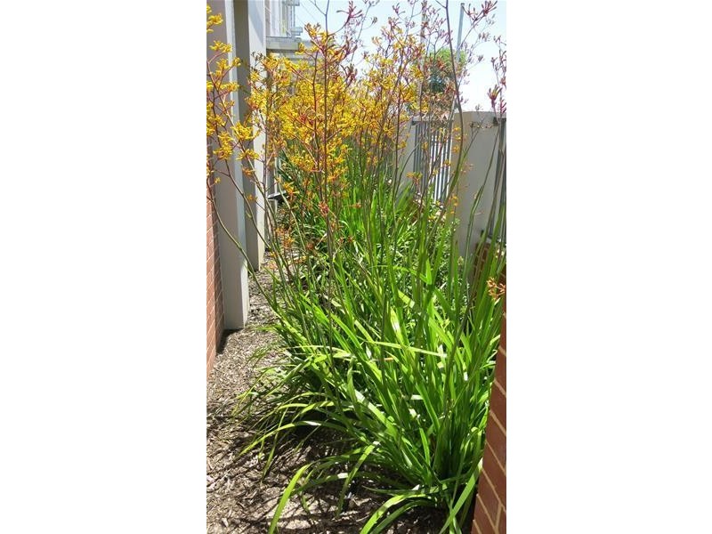 3/140 Morrison Road, Midland WA 6056