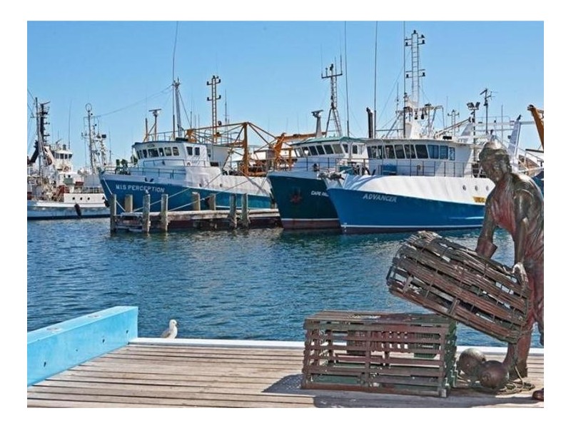 2/10 Quarry  Street, Fremantle WA 6160