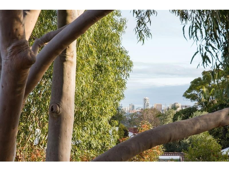 12/11 Central Avenue, Maylands WA 6051