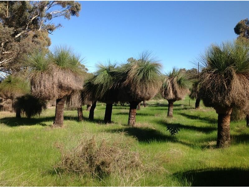 105 Oyston Road, Bakers Hill WA 6562