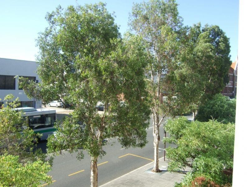 3/58 Fitzgerald Street, Northbridge WA 6003