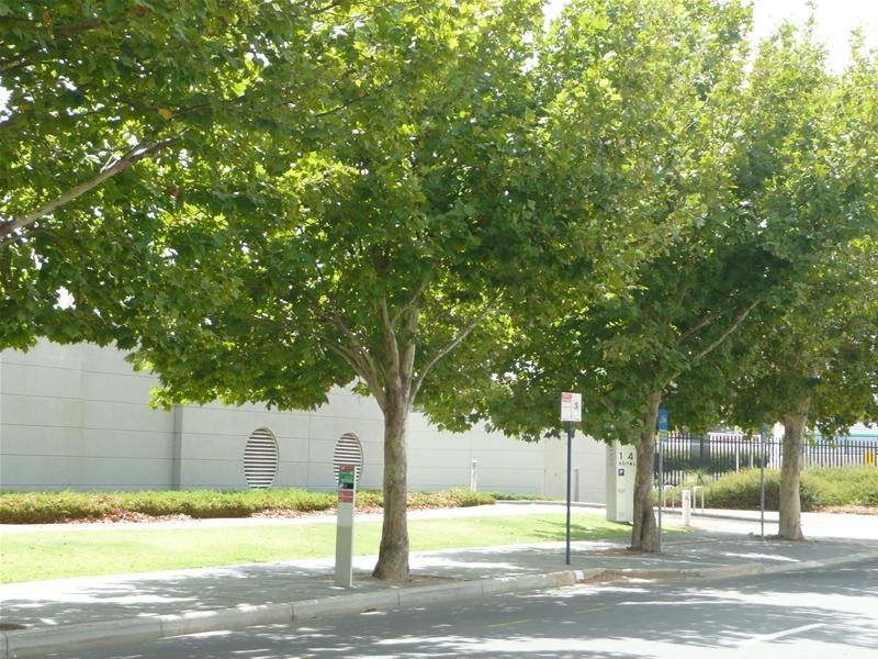 25/32 Fielder Street, East Perth WA 6004