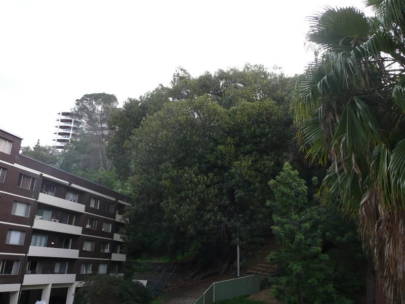 201/130a Mounts Bay Road, Perth WA 6000