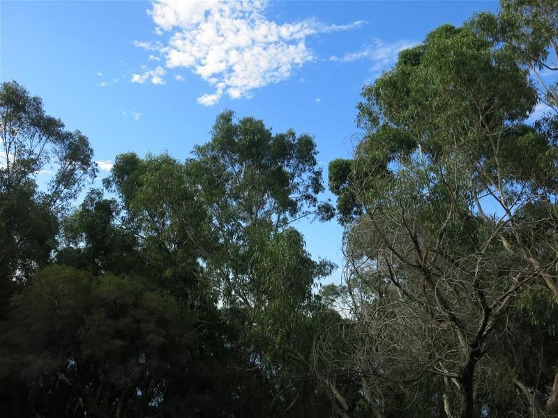 41/64-66 Riversdale Road, Rivervale WA 6103