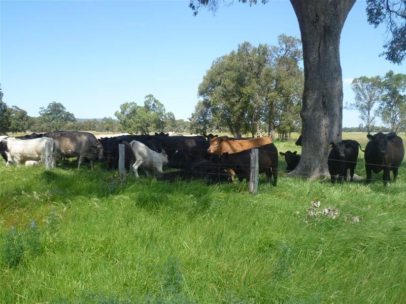 Lot/599 Karnup Road, Serpentine WA 6125