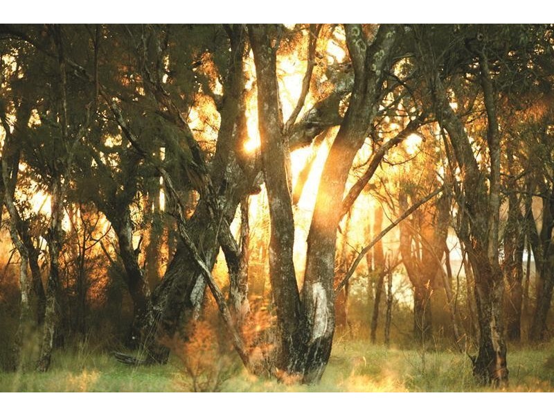 35 Lots Ravenswood River Estate, Ravenswood WA 6208