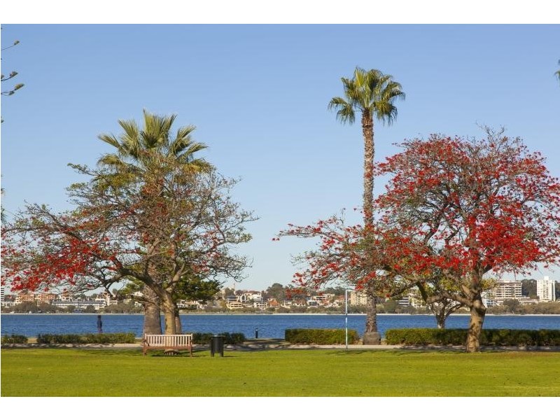 17/114 Terrace Road, Perth WA 6000