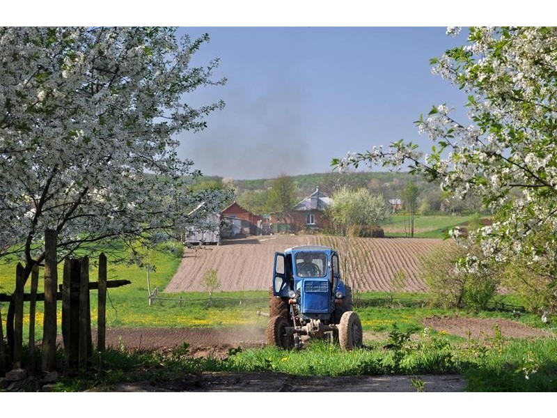 Lot 14/ Oyston Road, Bakers Hill WA 6562