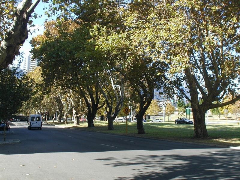 101/130a Mounts Bay Road, Perth WA 6000