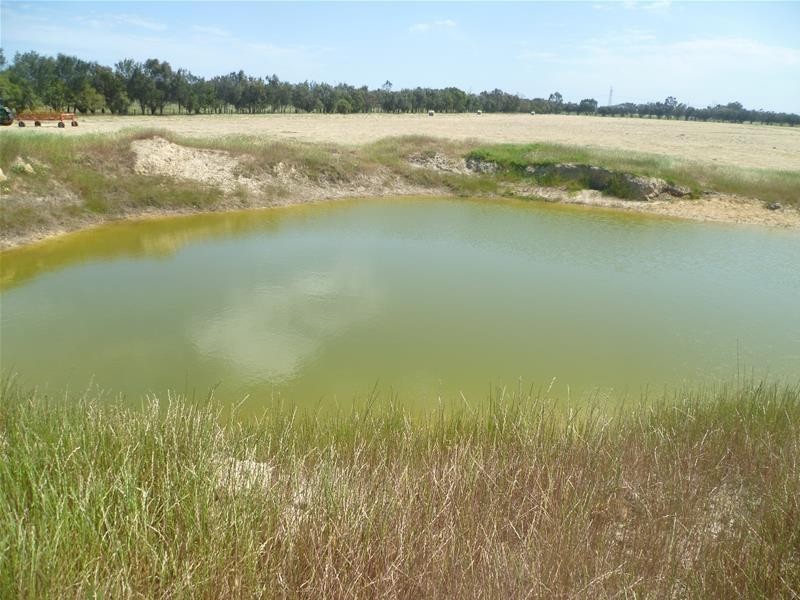 20 Gull Road, Serpentine WA 6125