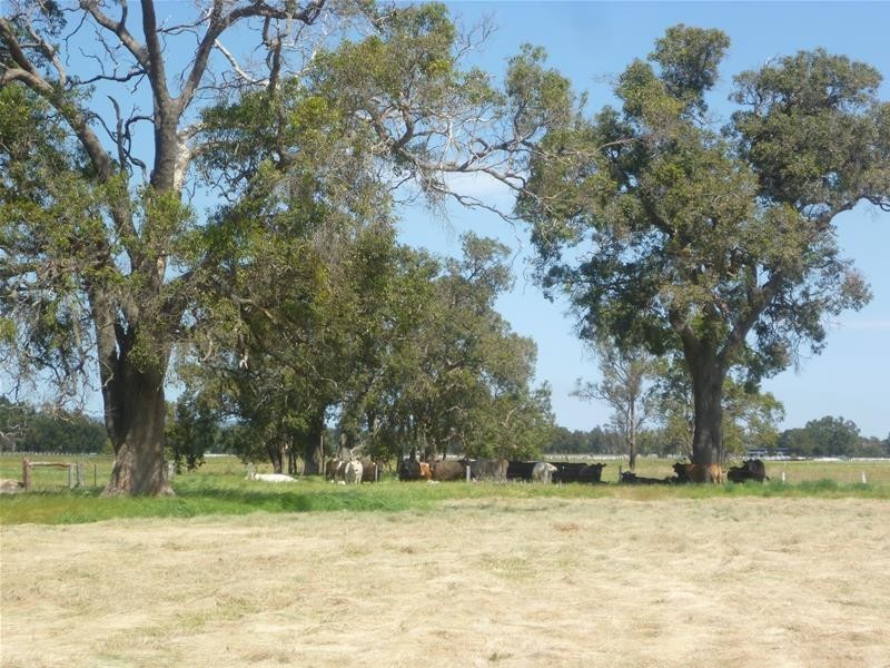 20 Gull Road, Serpentine WA 6125