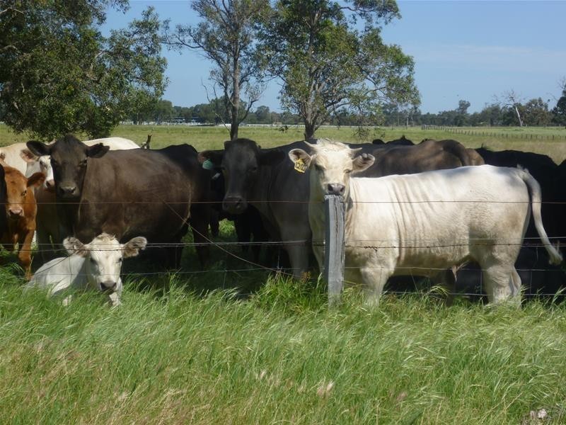 20 Gull Road, Serpentine WA 6125