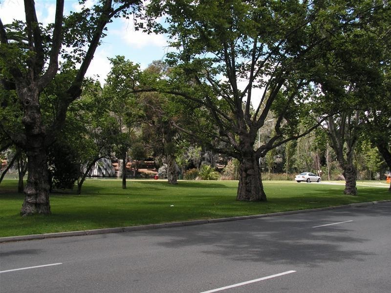 501/130A Mounts Bay Road, Perth WA 6000