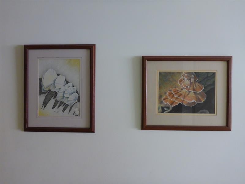 10/32 Fielder Street, East Perth WA 6004