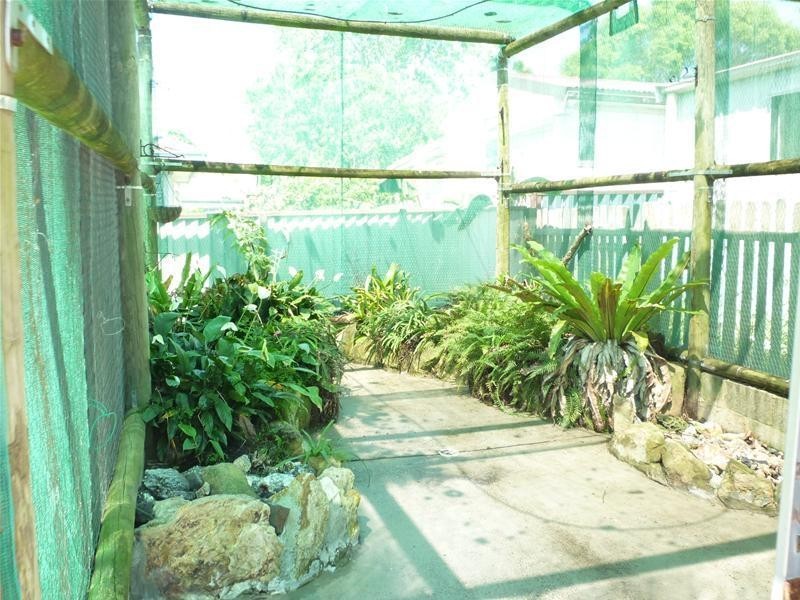 47 Dunvegan Street, Mannering Park NSW 2259