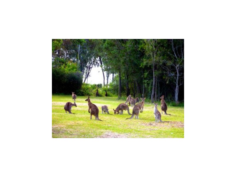 14a Wymeera Circuit, Wyee Point NSW 2259