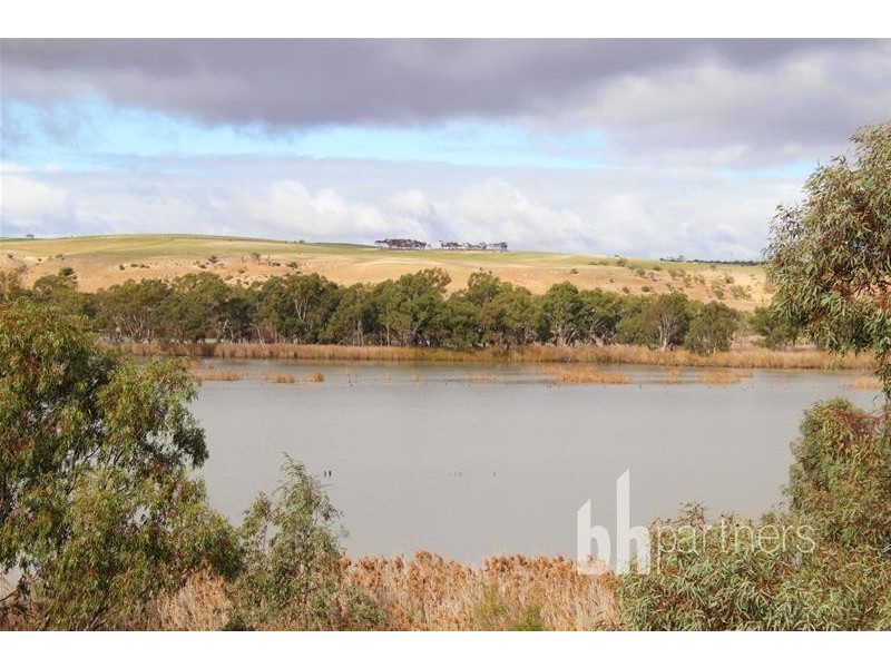 Allotment 10 Purnong Road, Mannum SA 5238