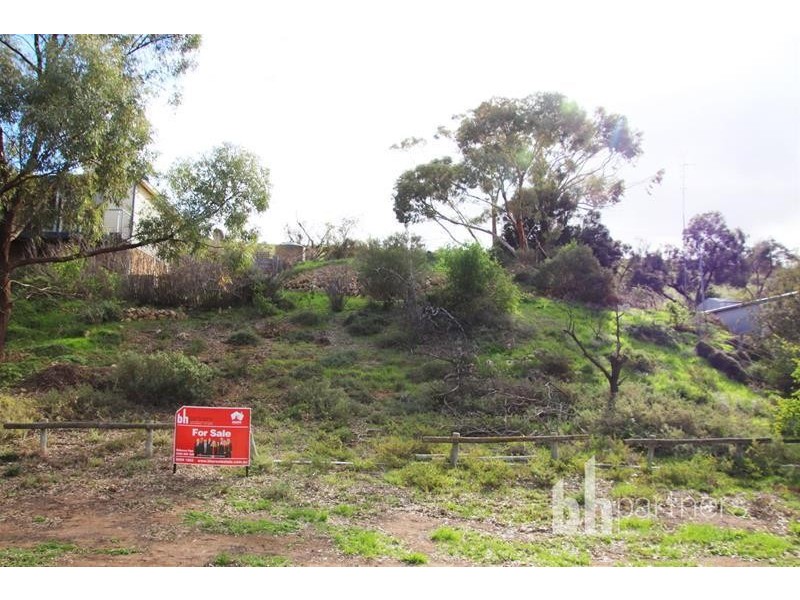 Allotment 10 Purnong Road, Mannum SA 5238
