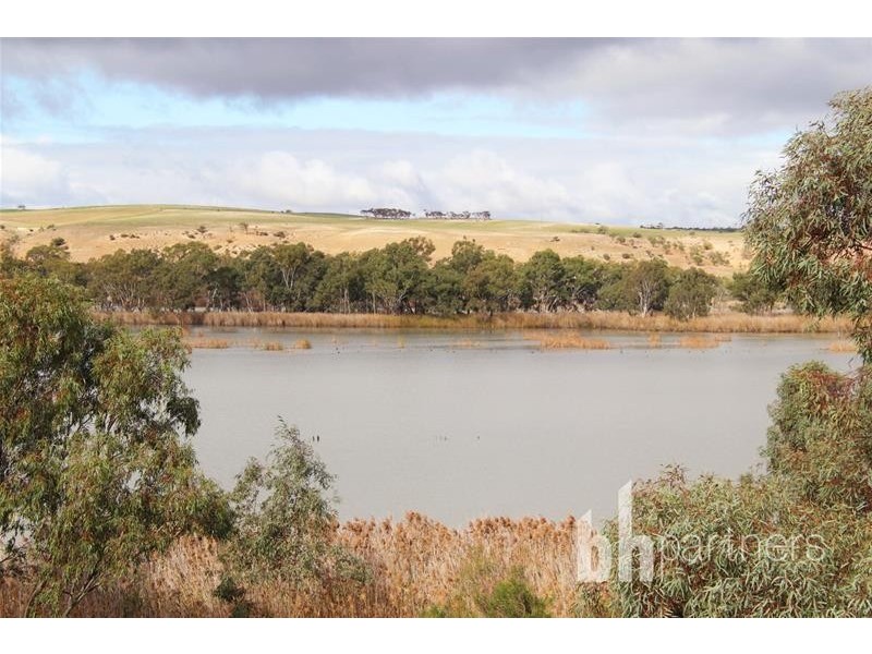 Allotment 10 Purnong Road, Mannum SA 5238