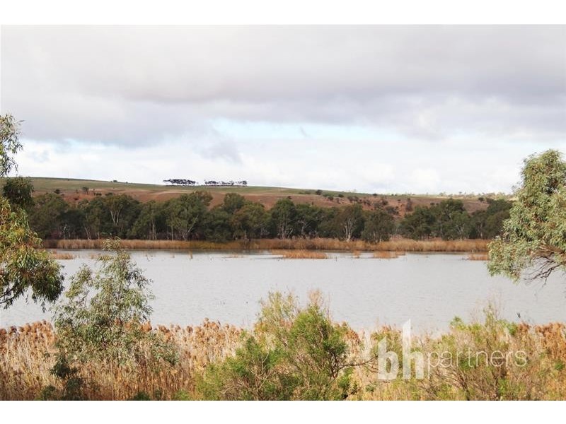 Allotment 10 Purnong Road, Mannum SA 5238