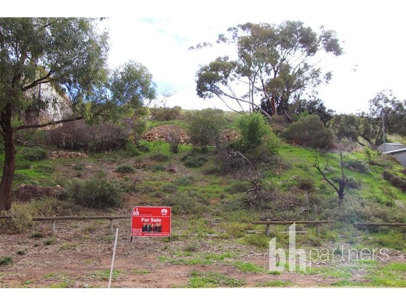 Allotment 10 Purnong Road, Mannum SA 5238