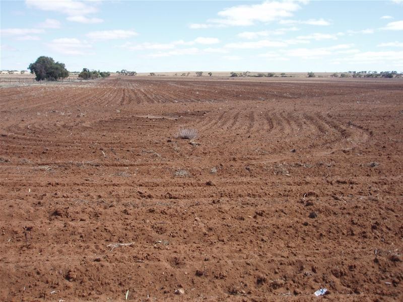 122 Black Hill Road, Cambrai SA 5353