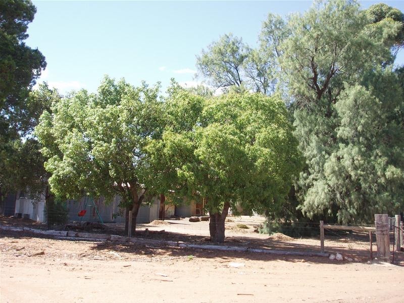 122 Black Hill Road, Cambrai SA 5353