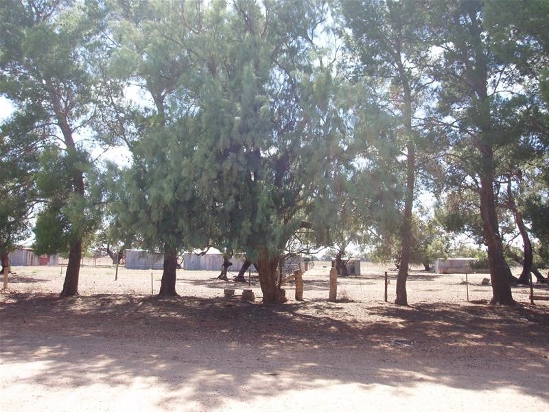 122 Black Hill Road, Cambrai SA 5353