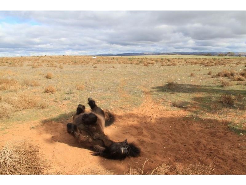 360 Giersch Road, Angas Valley SA 5238