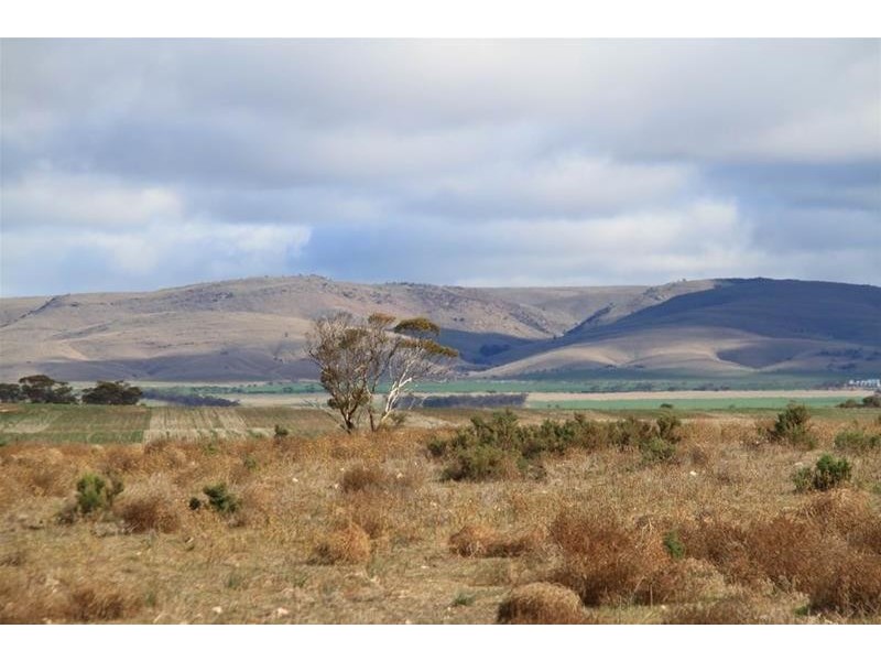 360 Giersch Road, Angas Valley SA 5238