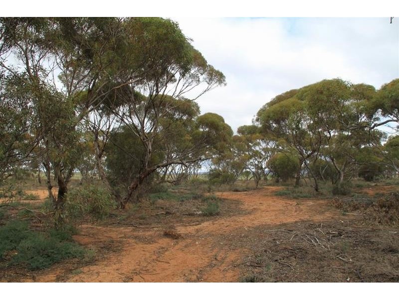 360 Giersch Road, Angas Valley SA 5238