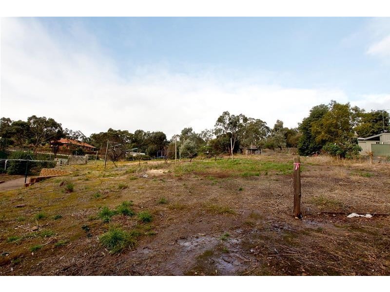 Allotment 41 Penrice Road, Penrice SA 5353