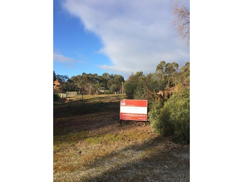 Allotment 41 Penrice Road, Penrice SA 5353