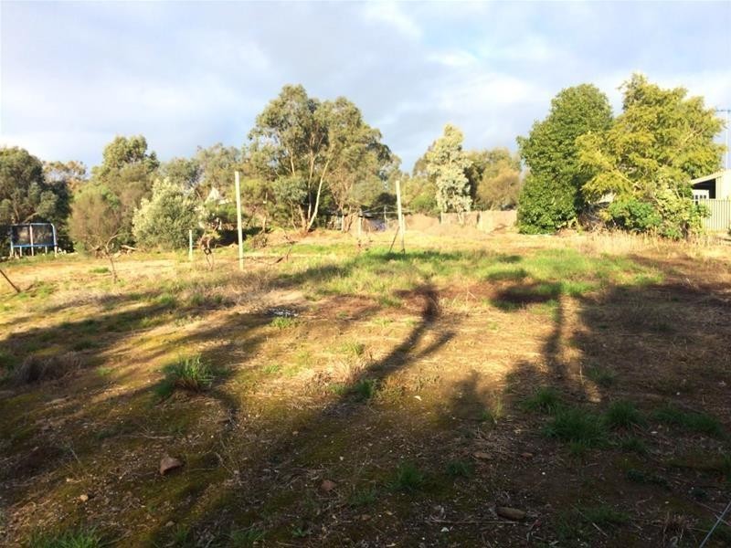 Allotment 41 Penrice Road, Penrice SA 5353