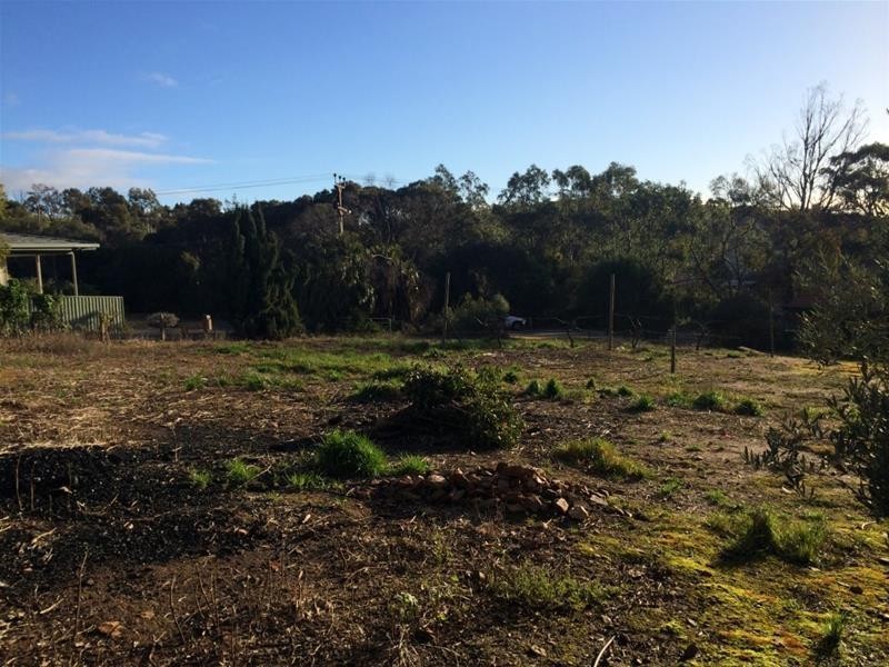 Allotment 41 Penrice Road, Penrice SA 5353