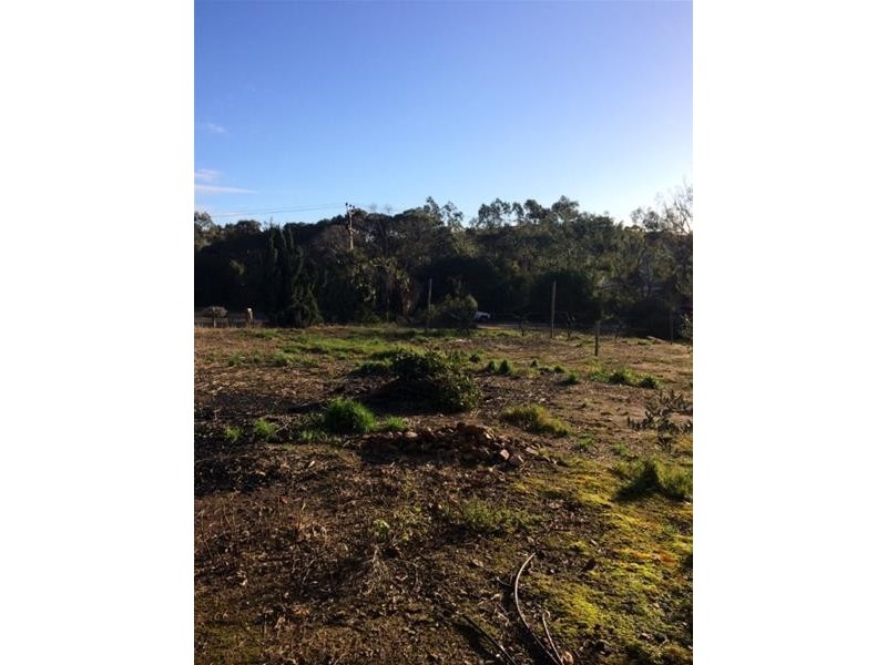 Allotment 41 Penrice Road, Penrice SA 5353