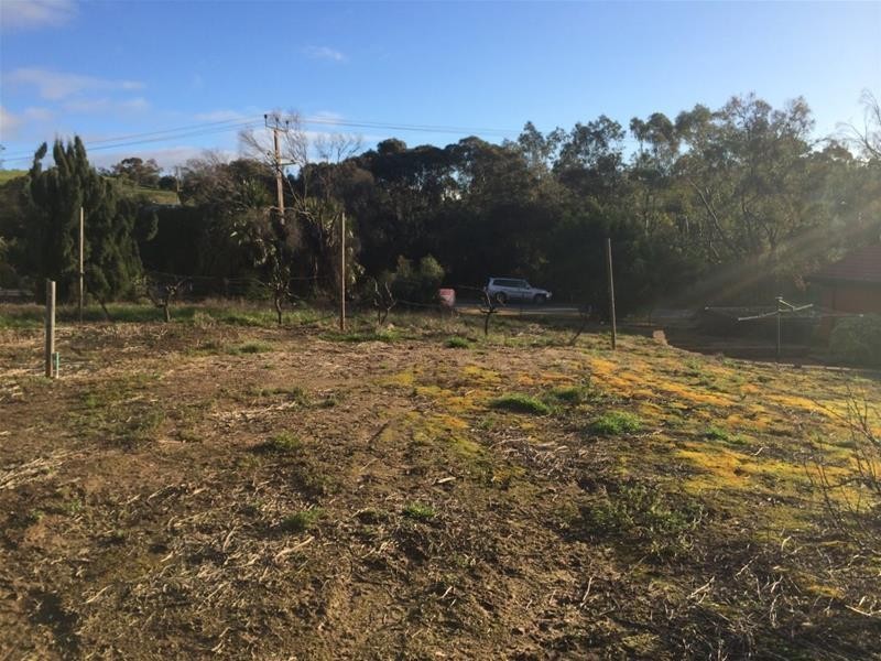 Allotment 41 Penrice Road, Penrice SA 5353