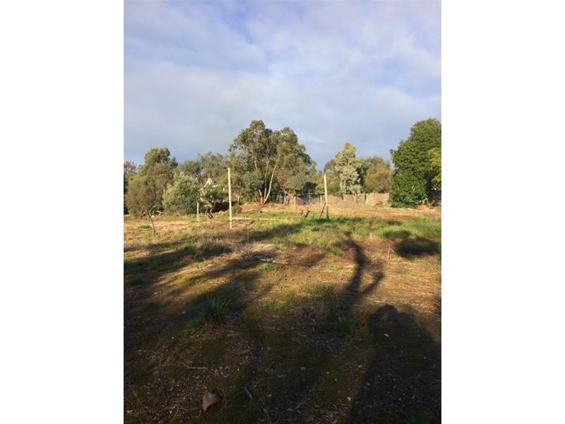 Allotment 41 Penrice Road, Penrice SA 5353
