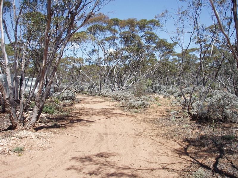 Lot 41 Pipeline Road, Swan Reach SA 5354