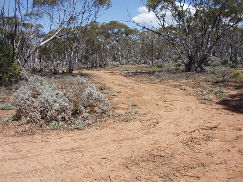 Lot 41 Pipeline Road, Swan Reach SA 5354