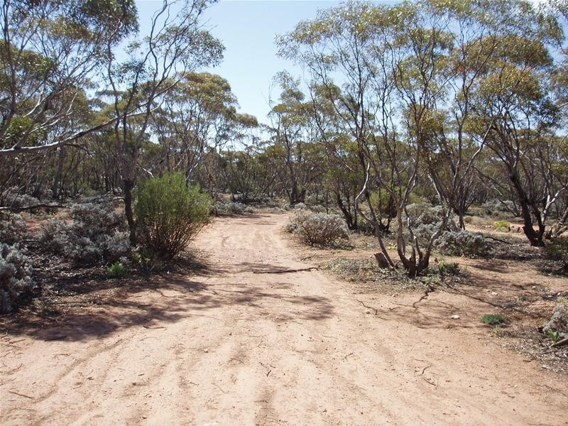 Lot 41 Pipeline Road, Swan Reach SA 5354