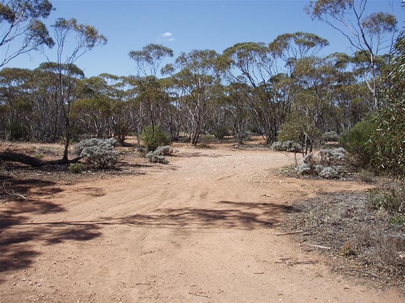 Lot 41 Pipeline Road, Swan Reach SA 5354