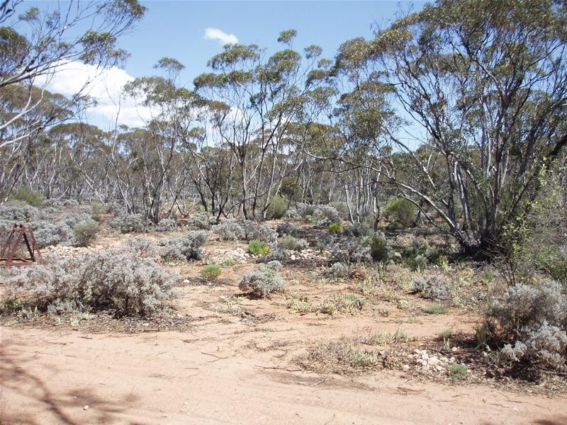 Lot 41 Pipeline Road, Swan Reach SA 5354