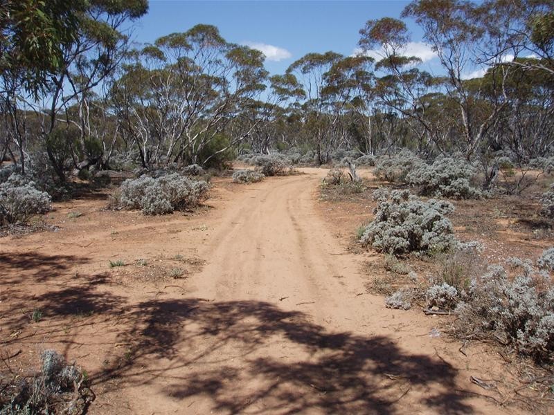 Lot 41 Pipeline Road, Swan Reach SA 5354