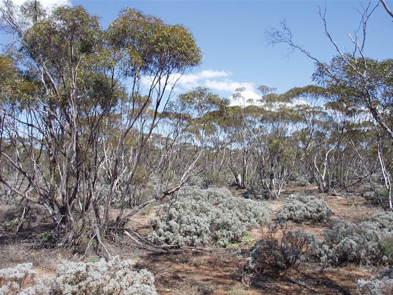 Lot 41 Pipeline Road, Swan Reach SA 5354