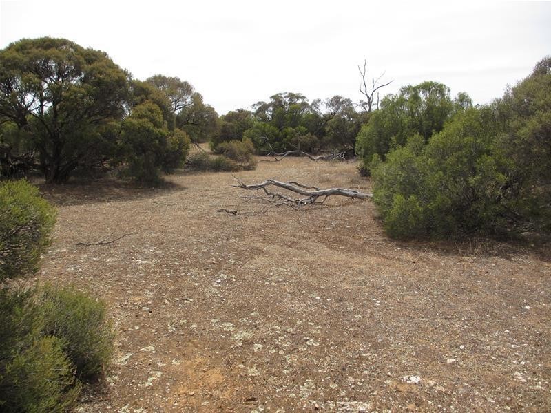 Section 204 Stott Highway, Swan Reach SA 5354