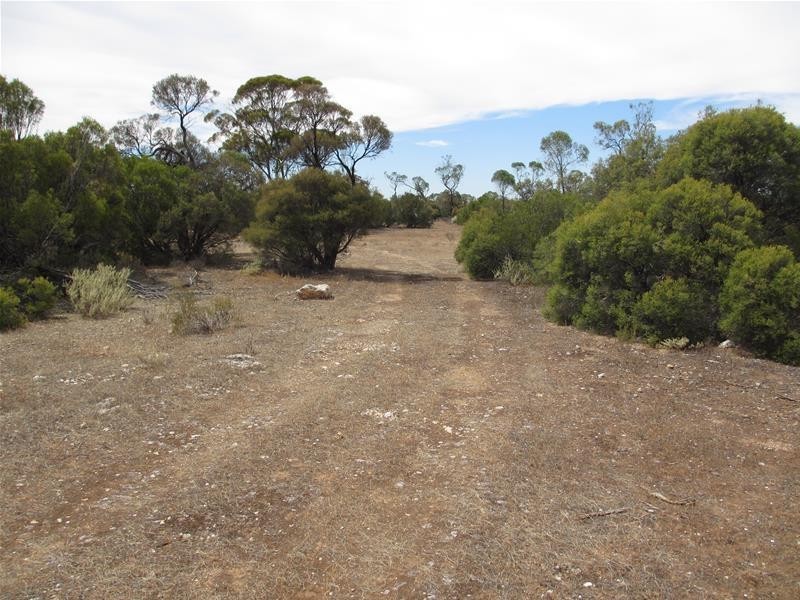 Section 204 Stott Highway, Swan Reach SA 5354