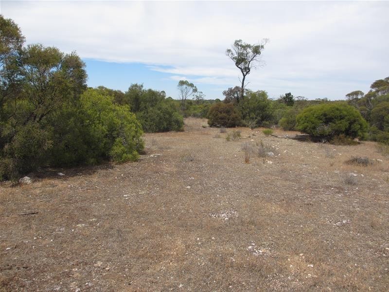 Section 204 Stott Highway, Swan Reach SA 5354